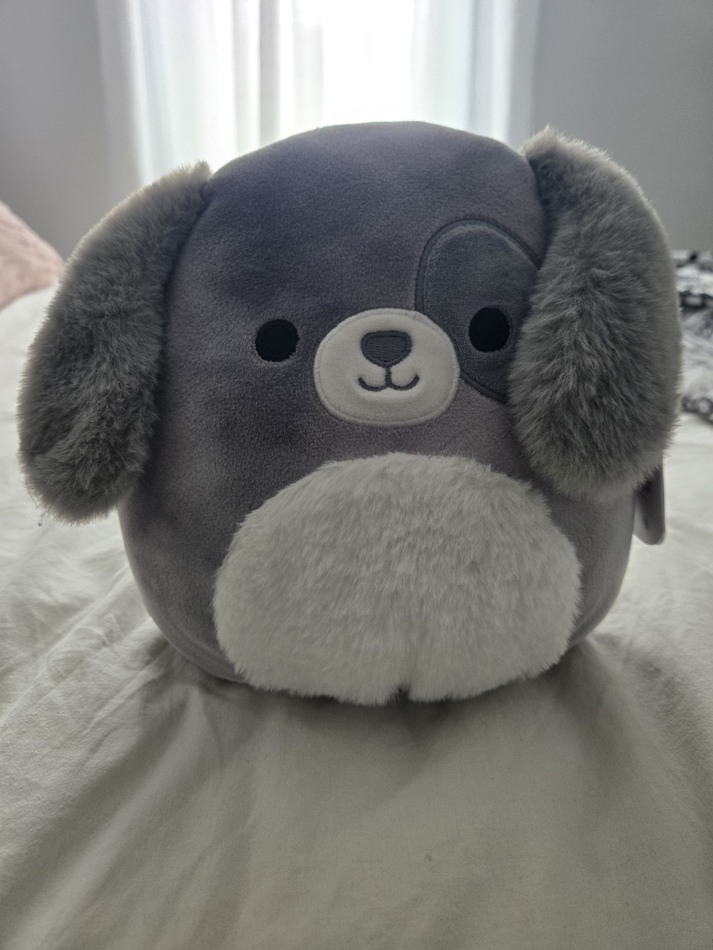 Gustavus Squishmallow Medium
